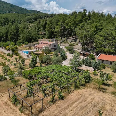 Han Villa